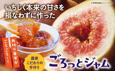 愛知県産　完熟とろあまいちじく使用　ごろっとジャム・A201
