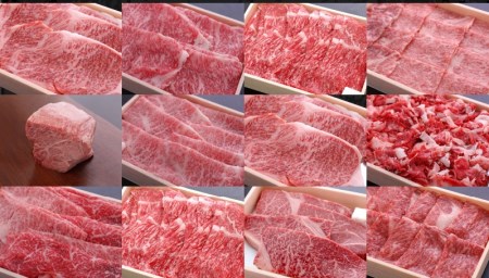 【豪華返礼品6回】近江牛プレミアム定期便