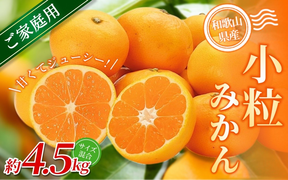 
                  【訳あり・ご家庭用】 森本農園の手選別 小粒みかん 約4.5kg 和歌山県産 【北海道・沖縄・離島配送不可】【2025年11月上旬～2026年2月中旬ごろに順次発送】【BV-mrmt061】
                