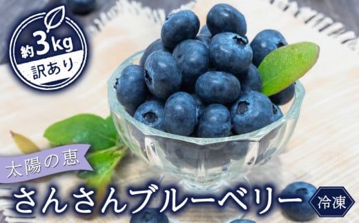 【早期予約開始!!2026年5月末より順次発送】【訳あり】 ブルーベリー 500g x 6 パック 合計 3kg 冷凍 健康 食品 果物 フルーツ ベリー そのまま おやつ 朝食 加工 お菓子 製菓 シャーベット ジャム ソース スムージー いちかわファーム 高知県 須崎市 IF010