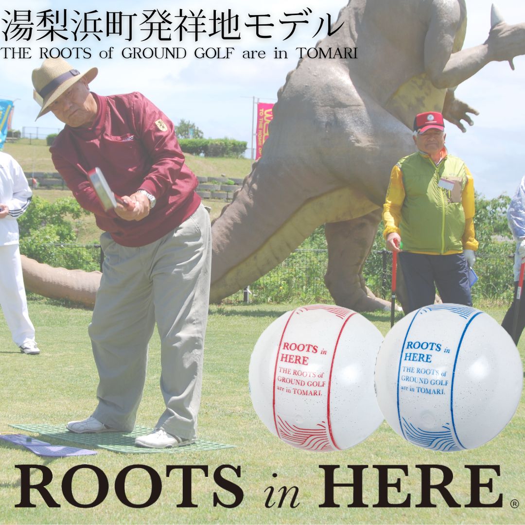 【ふるさと納税】グラウンド ゴルフ ボール 発祥地 ROOTS 湯梨浜 モデル 泊 潮風の丘