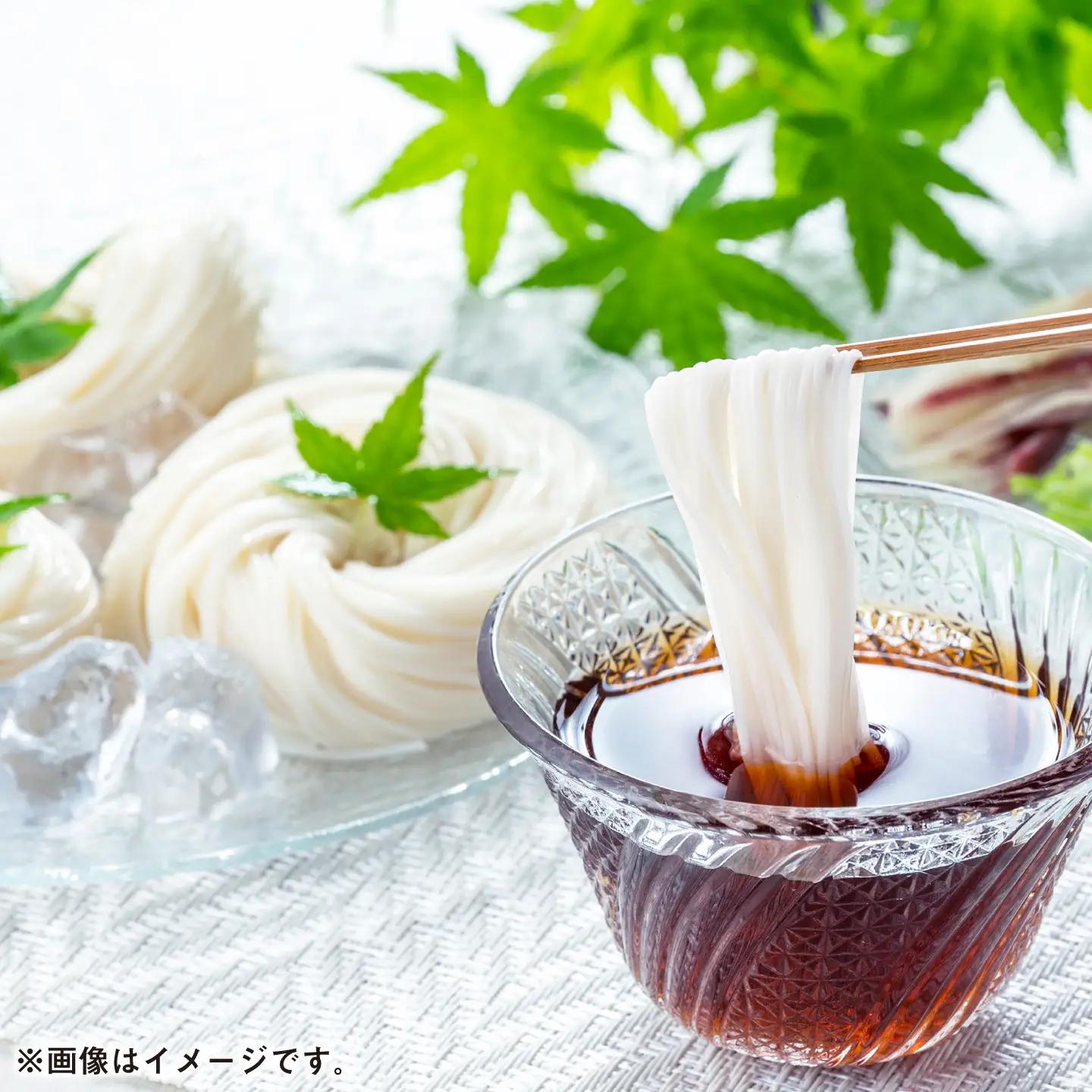 神埼そうめん 4.8kg（240g×20束） / そうめん 素麺 麺 乾麺 神埼 ギフト 贈り物 / 佐賀県 / 神埼そうめん協同組合[41AJAD003]