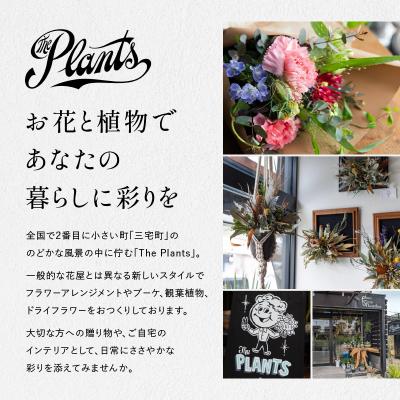 ふるさと納税 三宅町 フラワーボックス The Plants ギフト おしゃれ 花束 フラワーアレンジメント 母の日 生花 |  | 01