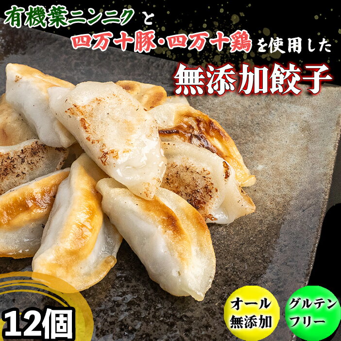 【ふるさと納税】 有機 葉 ニンニク と 四万十 豚 で作った 最高級 餃子 （ 6個 x 2パック ）ぎょうざ ギョウザ にんにく 高知 野菜 EA0271_3x