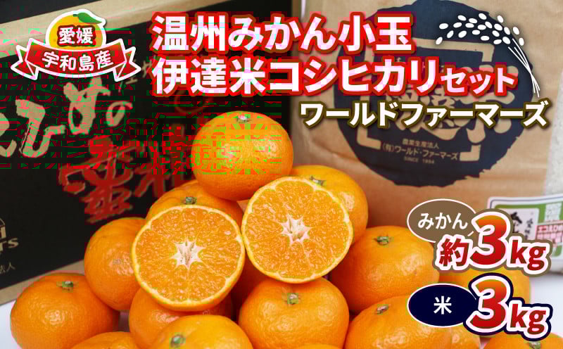 
            みかん 3kg 特別栽培米 コシヒカリ 伊達米 3kg 詰め合わせ セット ワールドファーマーズ 温州みかん 米 ミカン 蜜柑 mikan 愛媛みかん 愛媛蜜柑 愛媛県産 柑橘 果物 くだもの フルーツ 柑橘 農家直送 産地直送 数量限定 国産 愛媛 宇和島 B012-024003
          