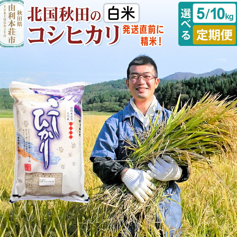 【ふるさと納税】【白米】コシヒカリ 5kg 10kg 令和7年産 秋田県産 北国秋田のコシヒカリ【選べる容量5kg／ 10kg・お届け回数】お米 米 こめ 五平農園