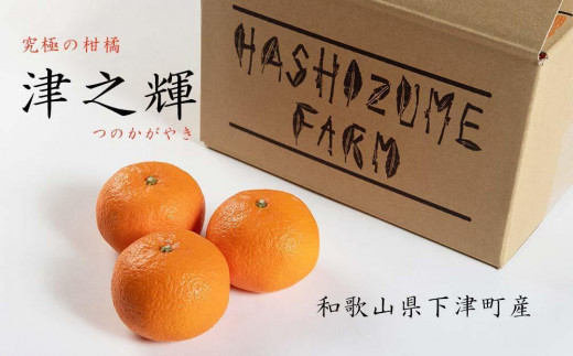 
                  津之輝(つのかがやき) 赤秀 5kg 和歌山県海南市産 【2027年2月頃より順次発送】｜和歌山市 フルーツ 果物 くだもの 柑橘 みかん
                