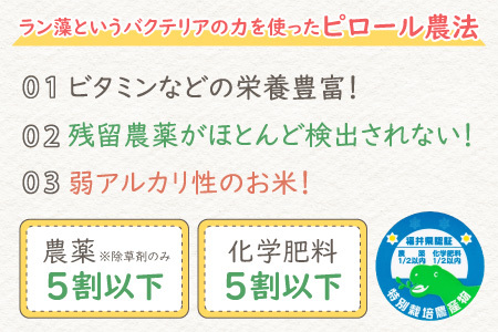 【先行予約】【令和7年産 新米】ミネラル豊富！弱アルカリ性のピロール米 ミルキークイーン 玄米 5kg 化学肥料5割以下・減農薬[A-008003]