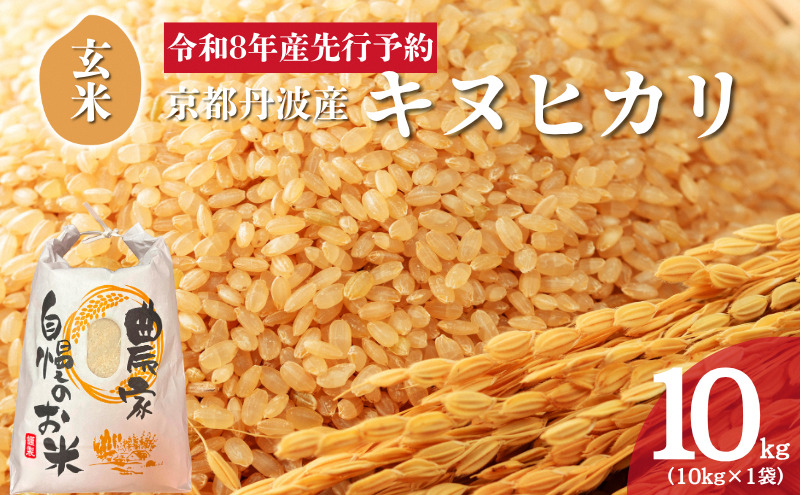 令和8年産 京都丹波産キヌヒカリ 玄米 10kg 米 お米 新米 南丹市 京都 新米26