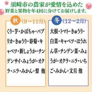 【 定期便 4回 】 野菜 ･ 果物 10 ～ 13 種類 セット | お楽しみ やさい フルーツ セット 旬 春 夏 秋 冬 採れたて 新鮮 農家 直送 詰め合わせ 国産 季節 フレッシュ 果物 フ