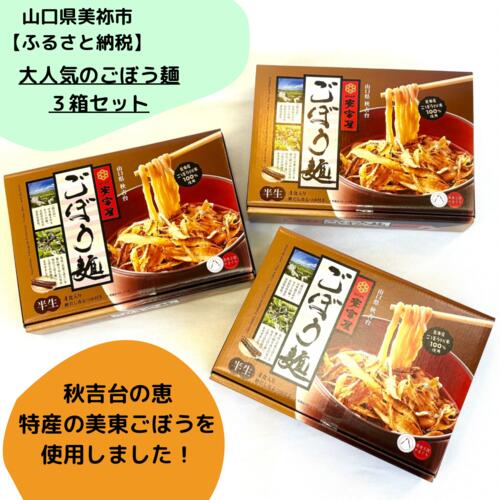 【ふるさと納税】 【安富屋】ごぼう麺3箱セット(4食入り×3箱）【山口県産美東ごぼう使用】 ｜ 美東ごぼう ごぼう ごぼう麺 ゴボウ 加工品 麺 麺類 半生麺 めん 特産品 美祢市 美祢 山口