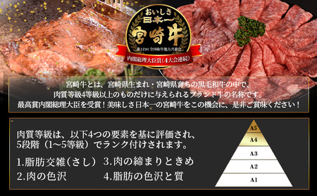 ＜宮崎牛 切落し焼肉1kg（500g×2）＞入金確認後、翌月末までに出荷【国産 黒毛和牛 牛肉 牛 精肉 赤身 ブランド牛 ちょっと豪華 毎日の食卓 プチ贅沢 ご褒美 旨味 普段使い 焼き肉 形 大き