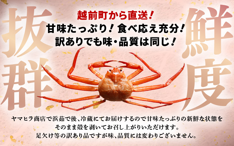 【訳あり】≪浜茹で≫越前産 紅ずわいがに × 1杯（生で約880g～1kg）【紅ズワイガニ カニ かに 蟹】【紅ずわいがに】【12月発送分】 [e80-x001【】12]