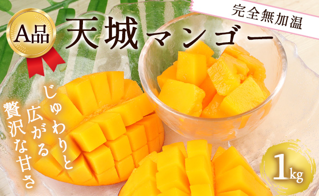 【2024年発送】徳之島 天城町産 完全無加温 完熟 マンゴー Ａ品 1kg 贈答