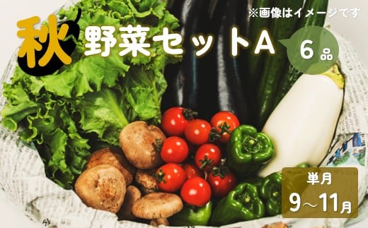 
            【予約受付/2025年9月発送開始】秋 野菜セット A 6品 以上 季節 旬 国産 秋野菜 きのこ 葉物  果菜 根菜 冷蔵 野菜室 岩手県産 北上産 季節限定 瓜 じゃが芋 里芋 長芋 大根 キャベツ ピーマン カリフラワー ブロッコリー 白菜 長ネギ ほうれん草 小松菜 山東菜 レタス リーフレタス ししとう かぶ  玉ねぎ しょうが 送料無料 岩手県 北上市 A0344
          
