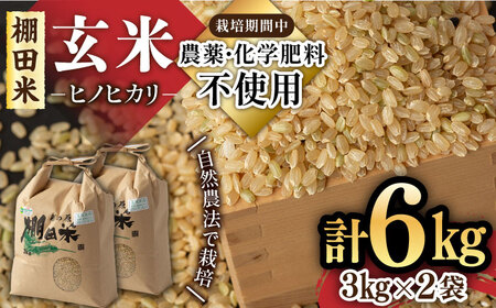 玄米 特別栽培米 ヒノヒカリ玄米 6kg [UAS006] 