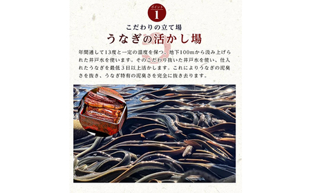 うなぎ 国産 蒲焼5尾セット(160g×5尾 タレ75ml×2・山椒付) 勝美 ギフト プレゼント お歳暮 誕生日 内祝