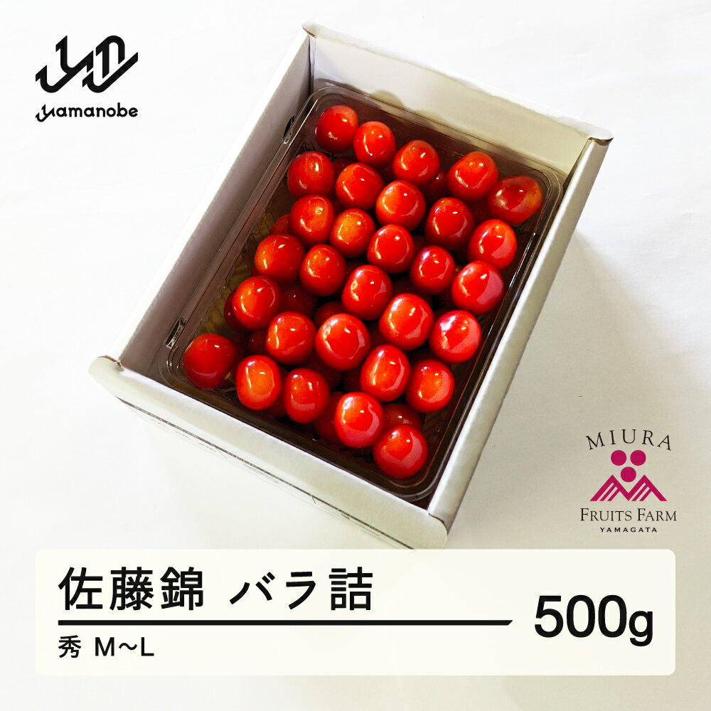 【ふるさと納税】《先行予約》2026年 山形県産 令和8年産 さくらんぼ 佐藤錦 バラ詰 500g 秀 M〜L 送料無料 ※沖縄・離島への配送不可