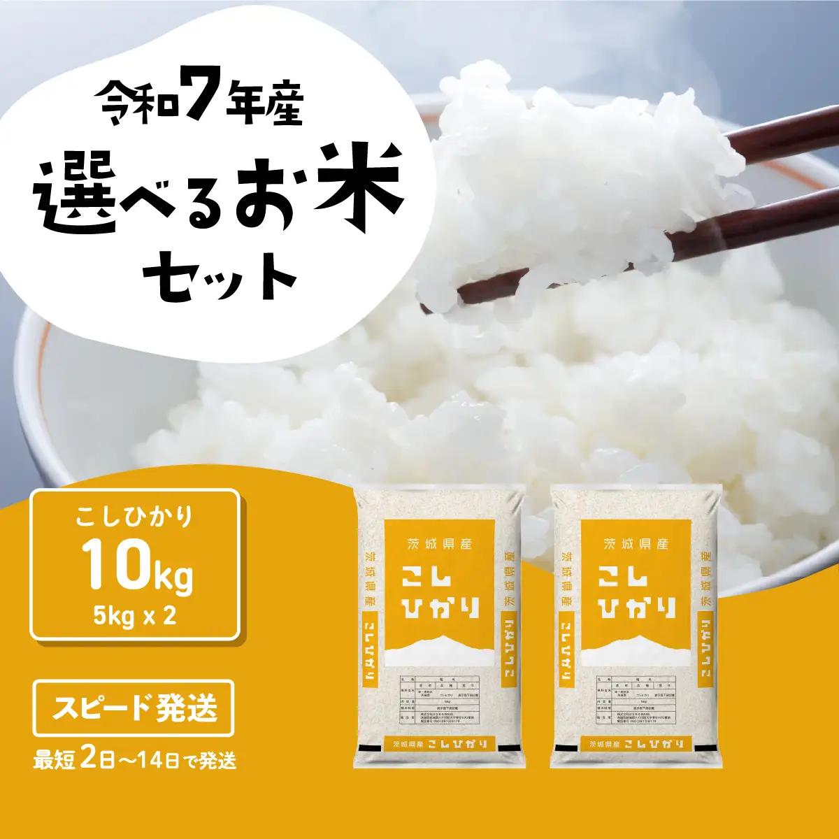 米 精米 令和7年産 コシヒカリ 10kg スピード発送