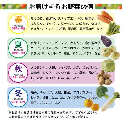ふるさと納税 泉佐野市 【2025年9月上旬発送】新鮮 野菜セット 詰め合わせ 15種類 国産 おまかせ 010B507 |  | 02