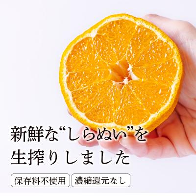 ふるさと納税 高原町 手搾り不知火(しらぬい)果汁200ml×5p　TF884 |  | 01