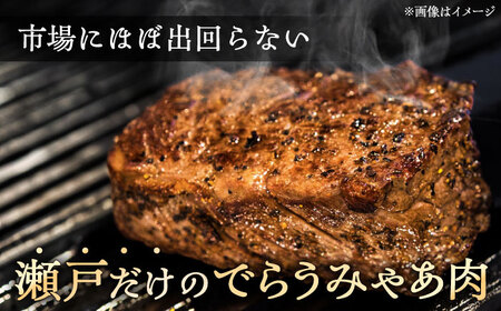 瀬戸山麓和牛モモブロック 400g / 牛肉 お肉 国産 冷凍  [BBBQ041]