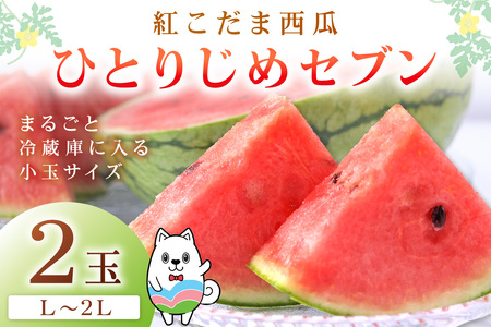 【0896-3】紅こだま西瓜（ひとりじめセブン）２玉入り〈先行予約〉2026年5月中旬から順次発送