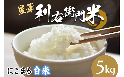 星華 利右衛門米 にこまる 白米 5kg｜米 こめ コメ ごはん ご飯 [0299]
