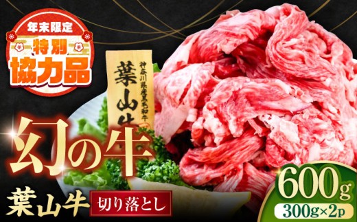 葉山牛 牛肉 切り落とし 和牛 きりおとし 切り落とし300g×2パック 計600g 小分け  横須賀 冷凍  【株式会社羽根】 [AKAG001]