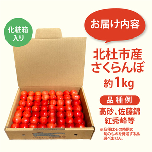 【2025年先行予約】山梨県北杜市産　旬の採れたてさくらんぼ　約1kg さくらんぼ 高砂 佐藤錦 紅秀峰 約1kg 2025年 先行予約 期間限定 数量限定 採れたて大粒 大玉 果物 くだもの 夏果実