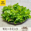 【ふるさと納税】水耕栽培 モヒートミント 約50g×10袋 長与町/アグリューム[EAI133] ミント みんと ハーブ はーぶ ハーブティー