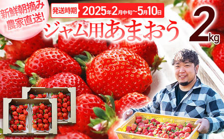 ジャム用あまおう2kg ※2026年2月中旬～5月10日頃にかけて順次出荷予定 BD07