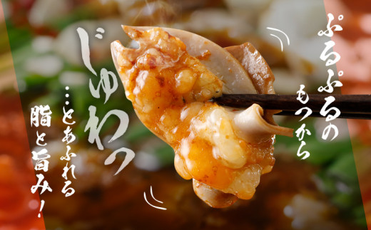牛もつ鍋セット（8-10人前）