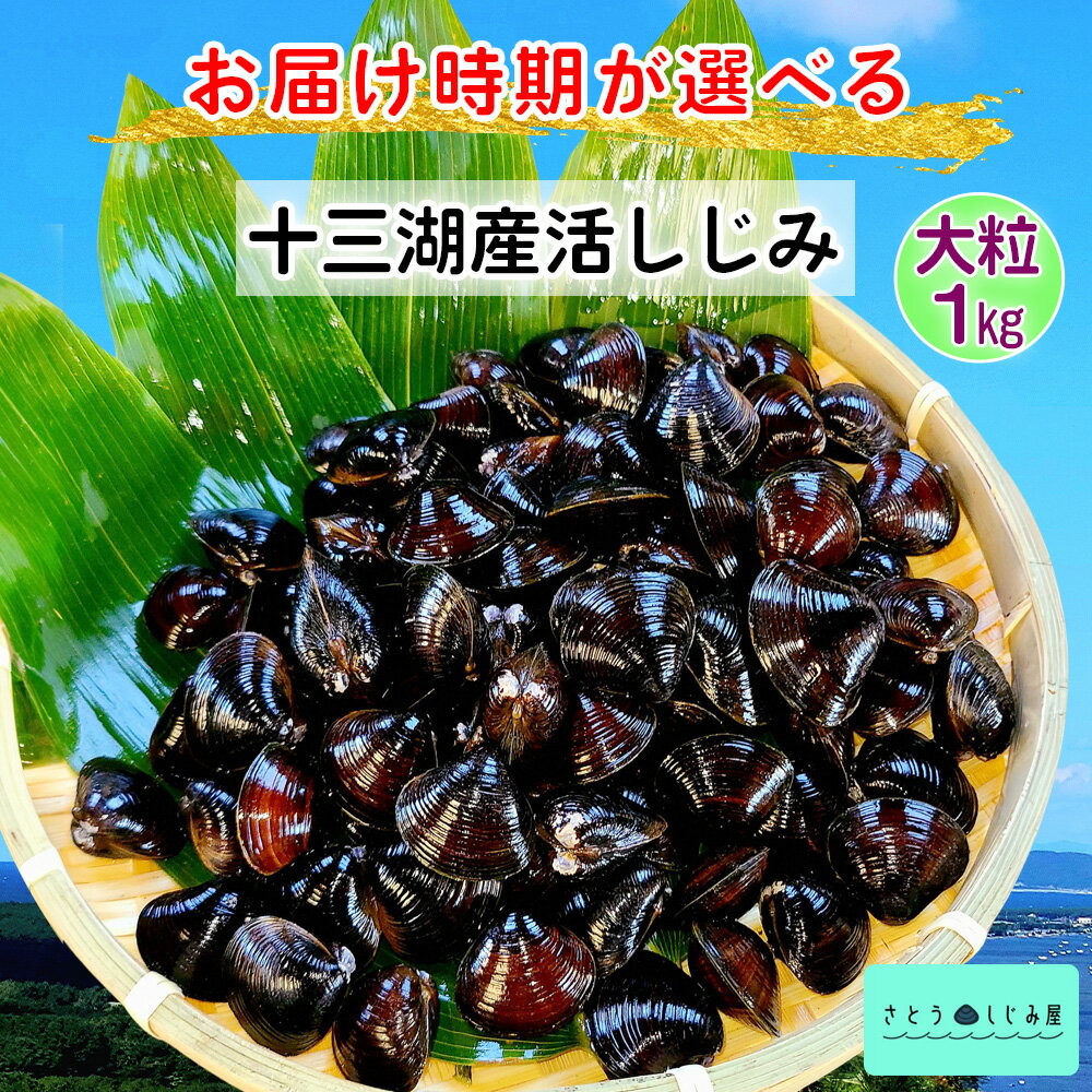 【ふるさと納税】[配達時期が選べる] さとうしじみ屋の十三湖産活しじみ(大粒1kg)[冷蔵]｜十三湖産 青森 津軽 つがる しじみ みそ汁 味噌汁 しじみ汁 活しじみ 冷蔵 [0809-0821]