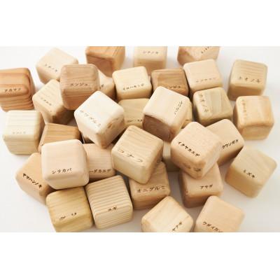 ふるさと納税 岩泉町 フォレストキューブ“岩泉の森のキューブ: 10樹set”