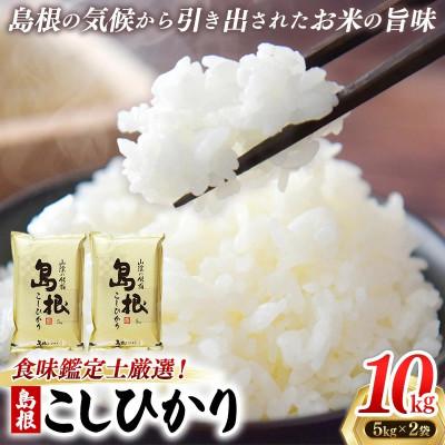 ふるさと納税 安来市 食味鑑定士厳選　島根こしひかり 10kg(5kg×2袋)(安来市)