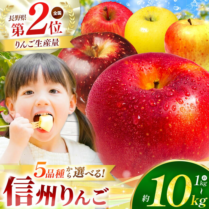 【ふるさと納税】【先行予約】長野県産 5品種から選べる！信州 エールりんご ≪ 寄附で農家さんを応援♪♪ ≫【9月末以降発送 ※品種により異なる】 | 果物 林檎 りんご リンゴ シナノゴールド シナノスイート ぐんま名月 サンふじ 信州産 長野県 塩尻市 | 寄付額 6000円～