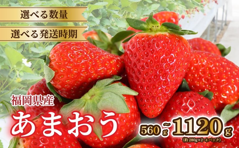 
            2026年発送 選べる発送月 苺 あまおう 560g~1120g (280g×2~4P) いちご あまおう 福岡県産苺 イチゴ ストロベリー 苺 数量限定 福岡県産 ichigo strawberry itigo 1月上旬より順次出荷 福岡県 川崎町
          