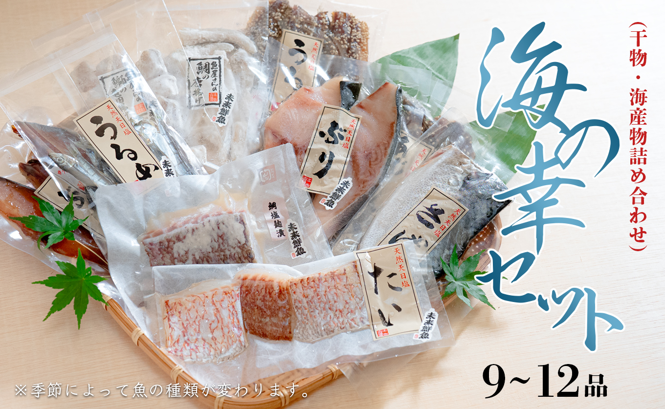 海の幸セット(干物・海産物詰め合わせ)　9～12品