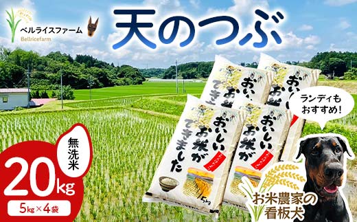 〈先行予約〉令和7年産 農家直送 ベルライスファームの天のつぶ 無洗米20kg F6U-130