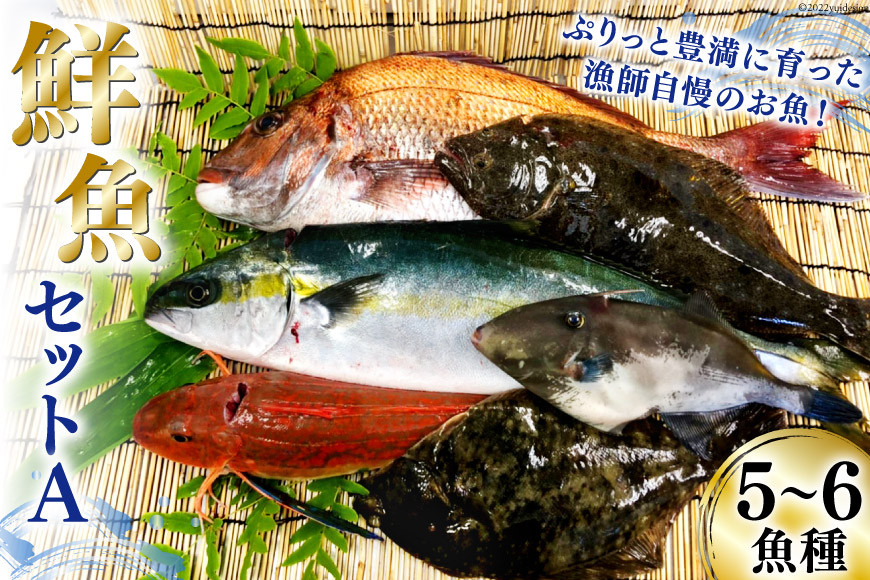 
漁師さんの鮮魚セットA 5～6魚種《5月後半～1月前半お届け》 [FishMarket38 宮城県 気仙沼市 20564253] 期間限定 産地直送 旬 魚介 魚 さかな 詰め合わせ
