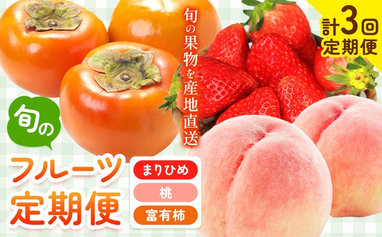 【先行予約】【発送月固定定期便】紀州和歌山産 旬のフルーツ便（いちご・桃・富有柿）【全３回】魚鶴商店《2027年2月上旬-11月末頃出荷》 和歌山県 日高川町 まりひめいちご 紀州和歌山産の桃 富有柿 化粧箱 贈答用 定期便---wshg_cuot22tei_26_50000_2711y3---