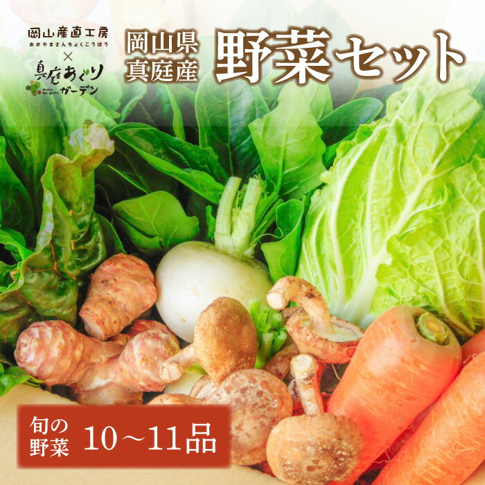 【ふるさと納税】 【岡山の旬をお届け！】真庭あぐり野菜セット 10～11品 便利なカット野菜入り / 産地直送 農家 お試し おためし野菜 岡山 旬野菜 新鮮 真庭 あぐりガーデン 十字屋 国産 【配送不可地域：離島・北海道・沖縄県】【yasai002】