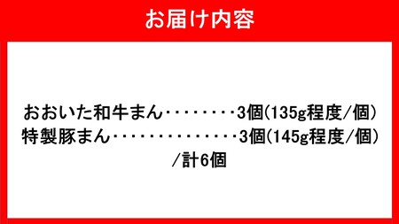 2563R_職人手作りの「おおいた和牛まん&特製豚まん 贅沢食べ比べセット」