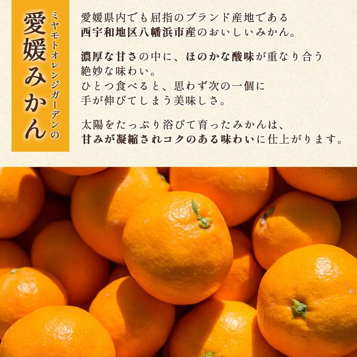 【発送月固定定期便】愛媛みかん5kg(秀)×愛媛みかん小玉6kg(訳)【F25-250】全2回【4070999】 YWTAP191