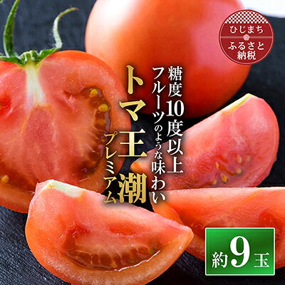 【ふるさと納税】2027年1月下旬から順次発送【糖度10度以上】高糖度トマト 「トマ王潮プレミアム」約9玉～_ トマト 高糖度 トマ王潮 プレミアム 野菜 美味しい 大分県 人気 おすすめ 送料無料【配送不可地域：離島】【1087104】