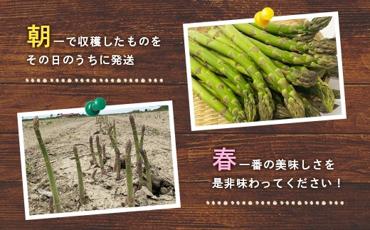 【朝採り発送】うえさかさんの露地アスパラ スペシャル 1.5kg
