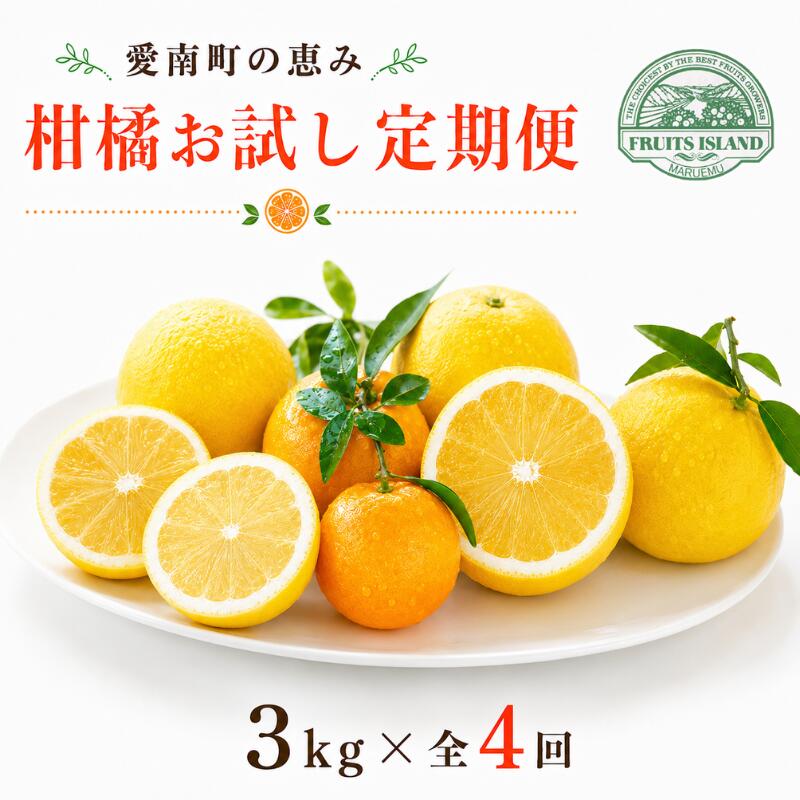 【ふるさと納税】 柑橘 かんきつ お楽しみ 3kg 計12kg 定期便 4回 4ヶ月 フルーツ 果物 くだもの レモン 愛愛柑 あいあいかん ポンカン 美生柑 みしょうかん 河内晩柑 ばんかん 旬 限定 国産 お試し 愛南 ブランド 愛媛 みかん 蜜柑 セット 詰め合わせ 食べ比べ マルエム直販