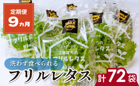 【定期便9ヶ月】フリルレタス 8袋(80～110g/袋)×9ヶ月 計72袋 | レタス レタス レタス レタス レタス
