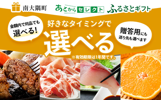 あとからセレクト【ふるさとギフト】10万円分 MN-20 │ 100000 鹿児島県 南大隅町 あとから選べる 返礼品 特産品 プラン 選べる返礼品 あとから選べる ギフト ギフトポイント 後から選ぶ